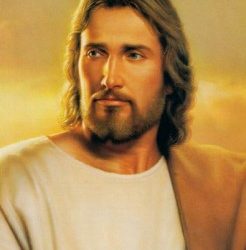 Mormon Reflections on the Word: Of Cats and Men
