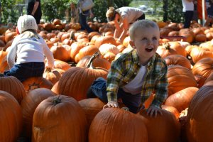 Family Halloween Traditions